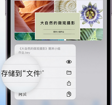 晋城apple维修中心分享iPhone文件应用中存储和找到下载文件