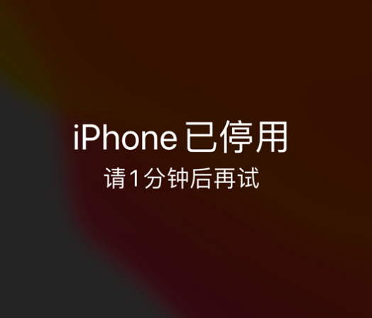 晋城苹果手机维修分享:iPhone 显示“不可用”或“已停用”怎么办？还能保留数据吗？ 