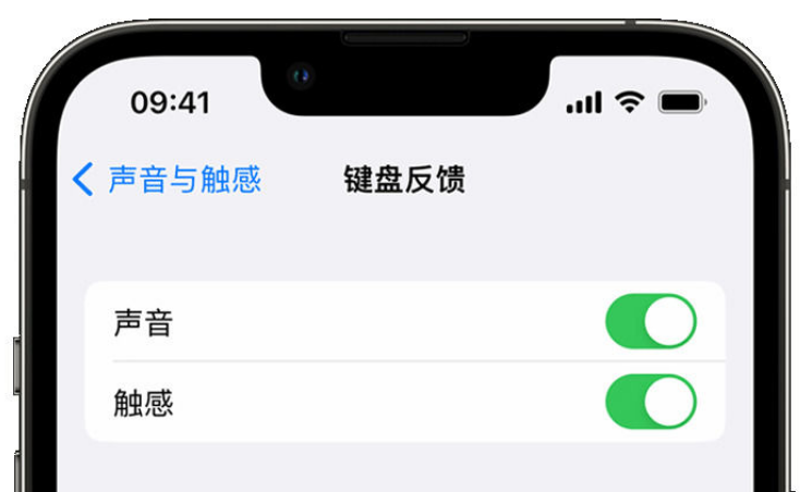 晋城苹果手机维修分享iPhone 14触感键盘使用方法 