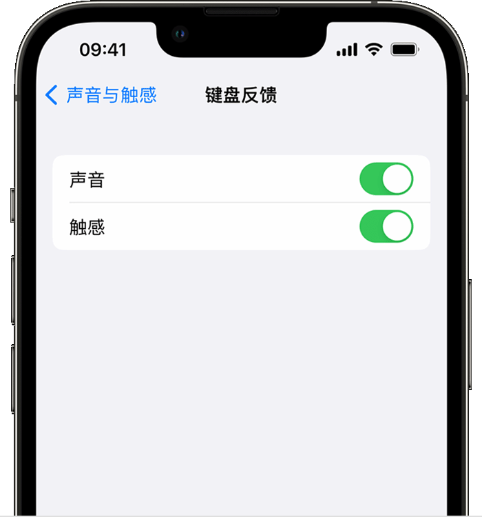 晋城苹果14维修店分享如何在 iPhone 14 机型中使用触感键盘 