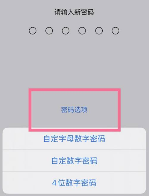 晋城苹果14维修分享iPhone 14plus设置密码的方法 