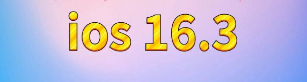 晋城苹果服务网点分享苹果iOS16.3升级反馈汇总 