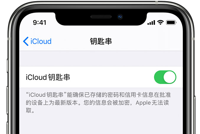 晋城苹果手机维修分享在 iPhone 上开启 iCloud 钥匙串之后会储存哪些信息 